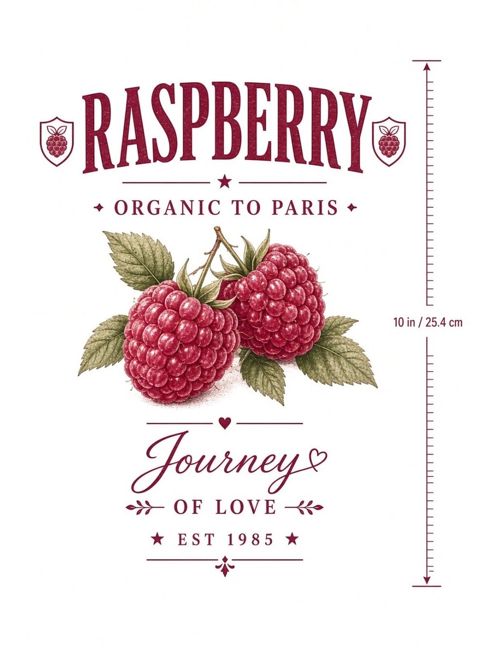 4pcs 10in Raspberry Organic Paris Vintage Fruit DTF Transfer